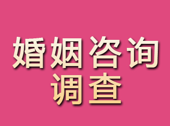 汉川婚姻咨询调查